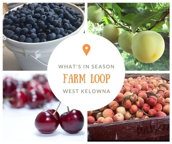 TheFarmLoop tweet picture