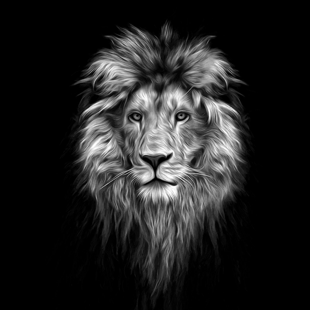 SalentaFox's tweet photo. Happy Lions Gate Portal #activation, #alignment, and light codes anchored in. #spiritualsource
.
#lionsgate #sirius #centralsun #askangels.com #lightactivation #lightcodes #lionsgate2020 #soulactivation #frequencyactivation https://t.co/1lNAiWF6Pc