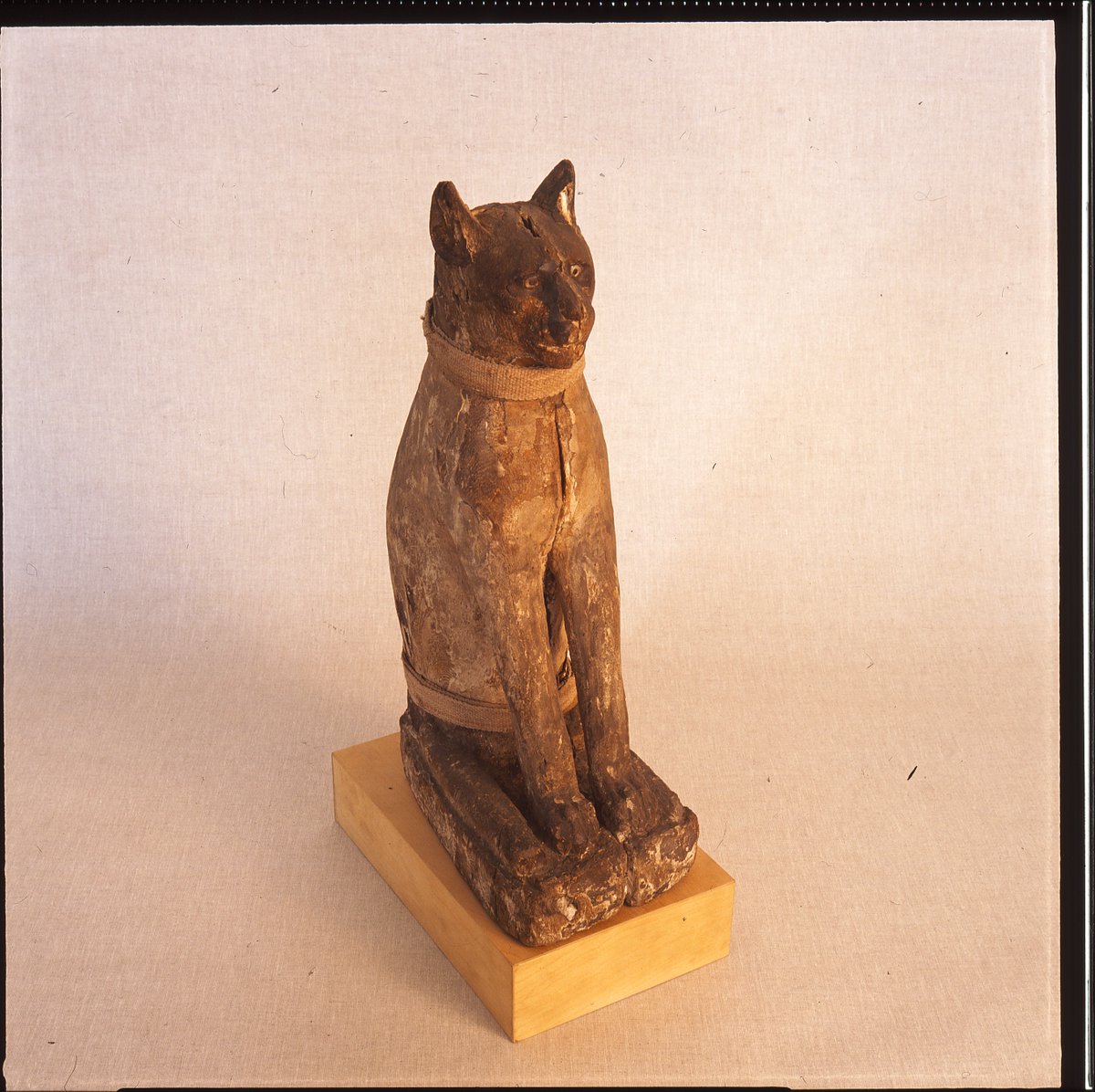 Schloss Friedenstein Die Katze Wurde Im Alten Agypten Gleich Mehrfach Verehrt Durch Bastet Die Katzengestaltige Tochter D Sonnengottes Re Die Als Gottin Der Fruchtbarkeit Liebe Verehrt Wurde Oder Durch Ihre