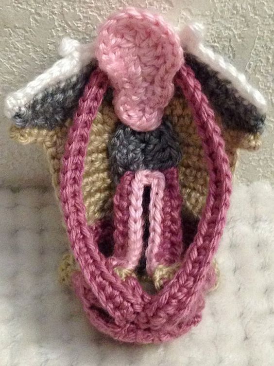 knithacker's tweet image. She Crocheted a Larynx Medical Model! 👉 buff.ly/2OlTBOd #larynx #handmade #diy #crochet #art #fiberart #medicalmodel