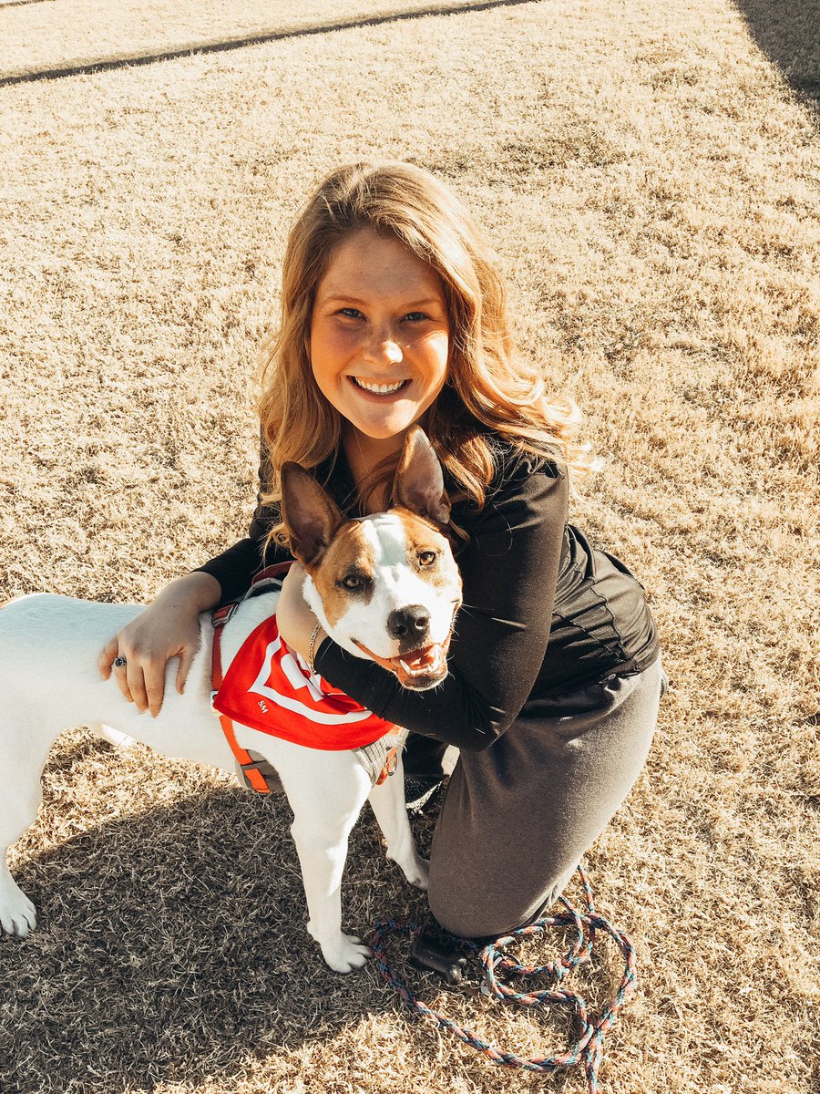 ash_hanzel's tweet photo. Annnnnnd the results are in: 🐶 American staffordshire terrier, boxer, bulldog, chow chow 🤣, English foxhound, and Siberian husky. @WisdomPanel #dogmom https://t.co/Fj3gqbPjFm