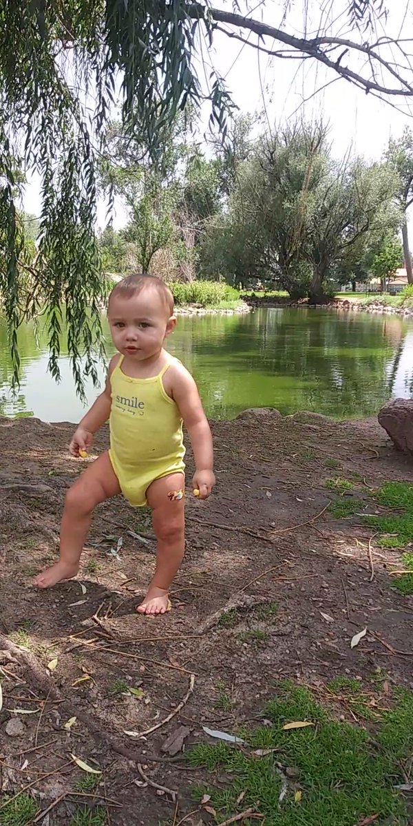 LDiablo247's tweet photo. HERITAGE GARDENS POND
Our little spot tucked away in downtown Colorado Springs where we feed the geese everyday, &amp; enjoy the sun. They know us so well that they start heading our way as soon as we roll up to the pond
#LifeIsGood
#TheTalesOfPeanutAndDiablo 
#LoveMyLittleSunflower https://t.co/J8NRjioGYW