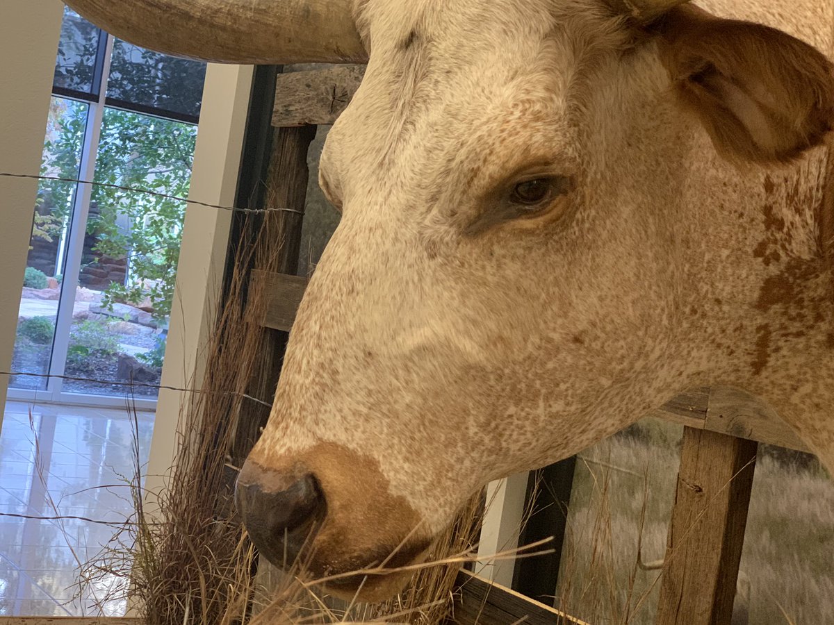 National Cowboy & Western Heritage Museum tweet media