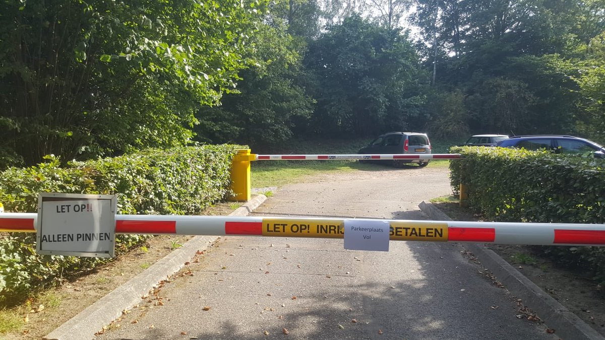 Anna S. Jansen tweet media