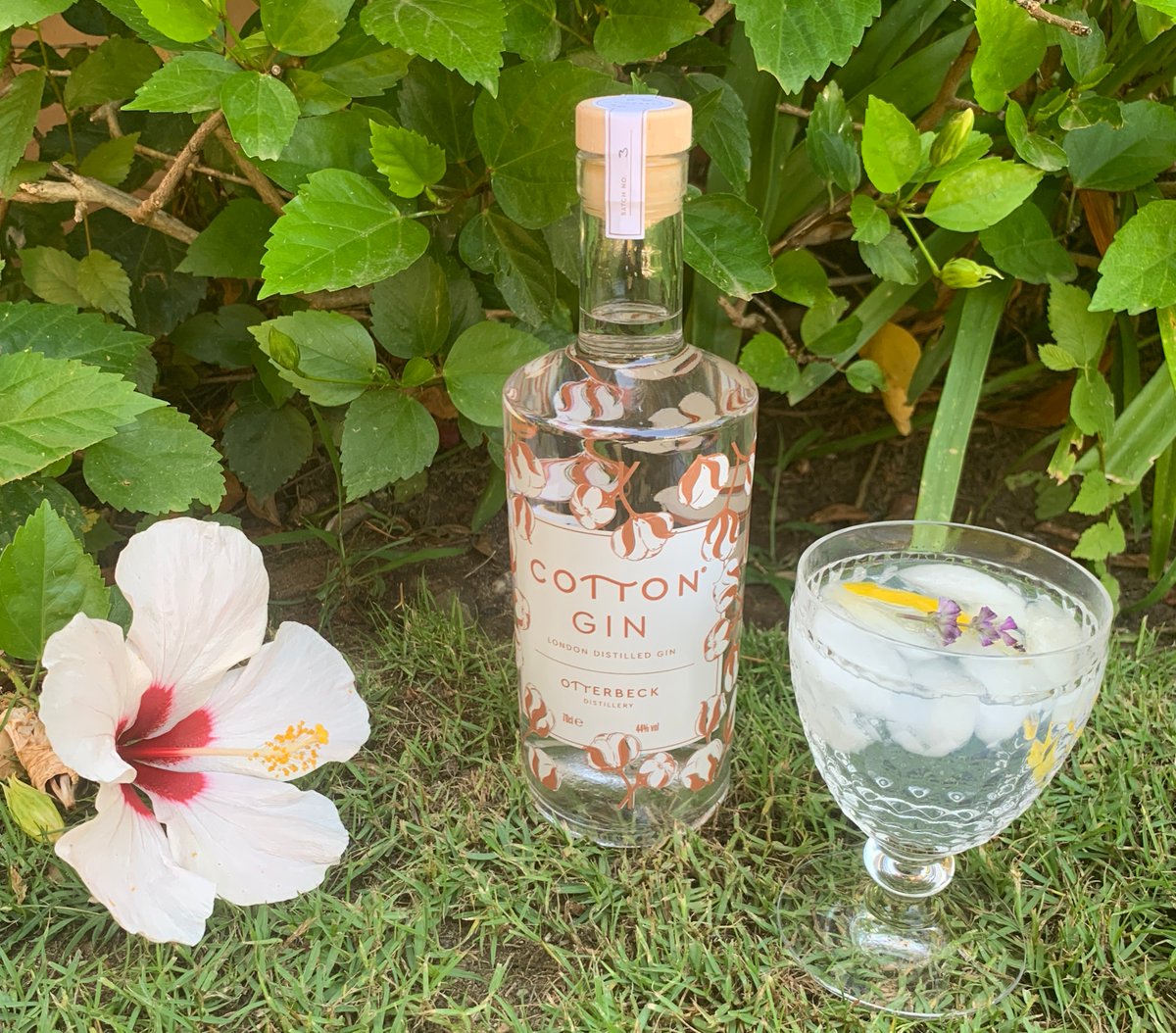 OtterbeckD's tweet image. We think that the stunning new #CottonGin bottle looks great in the sunshine too. Why not kick back with a refreshing sundowner this evening? The cotton flowers on our bottle design were hand drawn by co-founder, Nicola (she’s the arty one!)