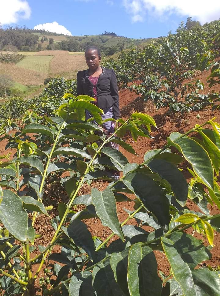 MpondaSabinus's tweet photo. Badilisha mtazamo na fikiria zako kwanza kabla hujaamua kulima. Kilimo sio Utumwa. https://t.co/ubqRicJTHZ