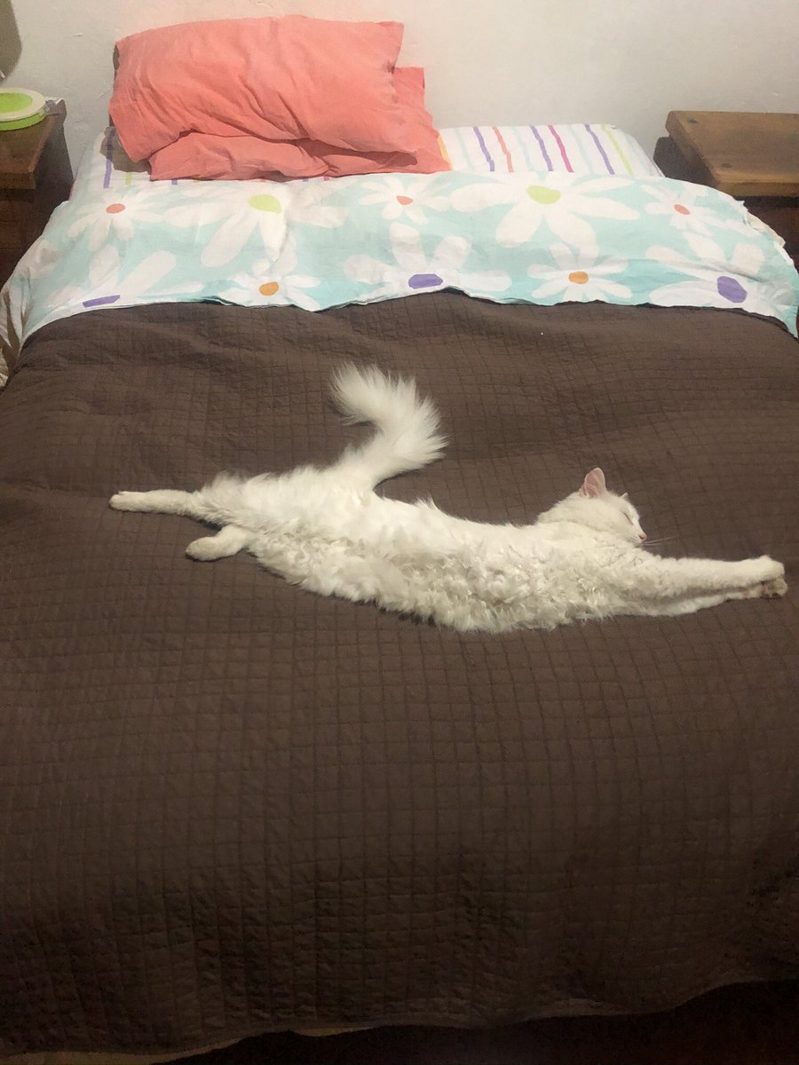 Aquí les dejo la inspiración del logo de Puma