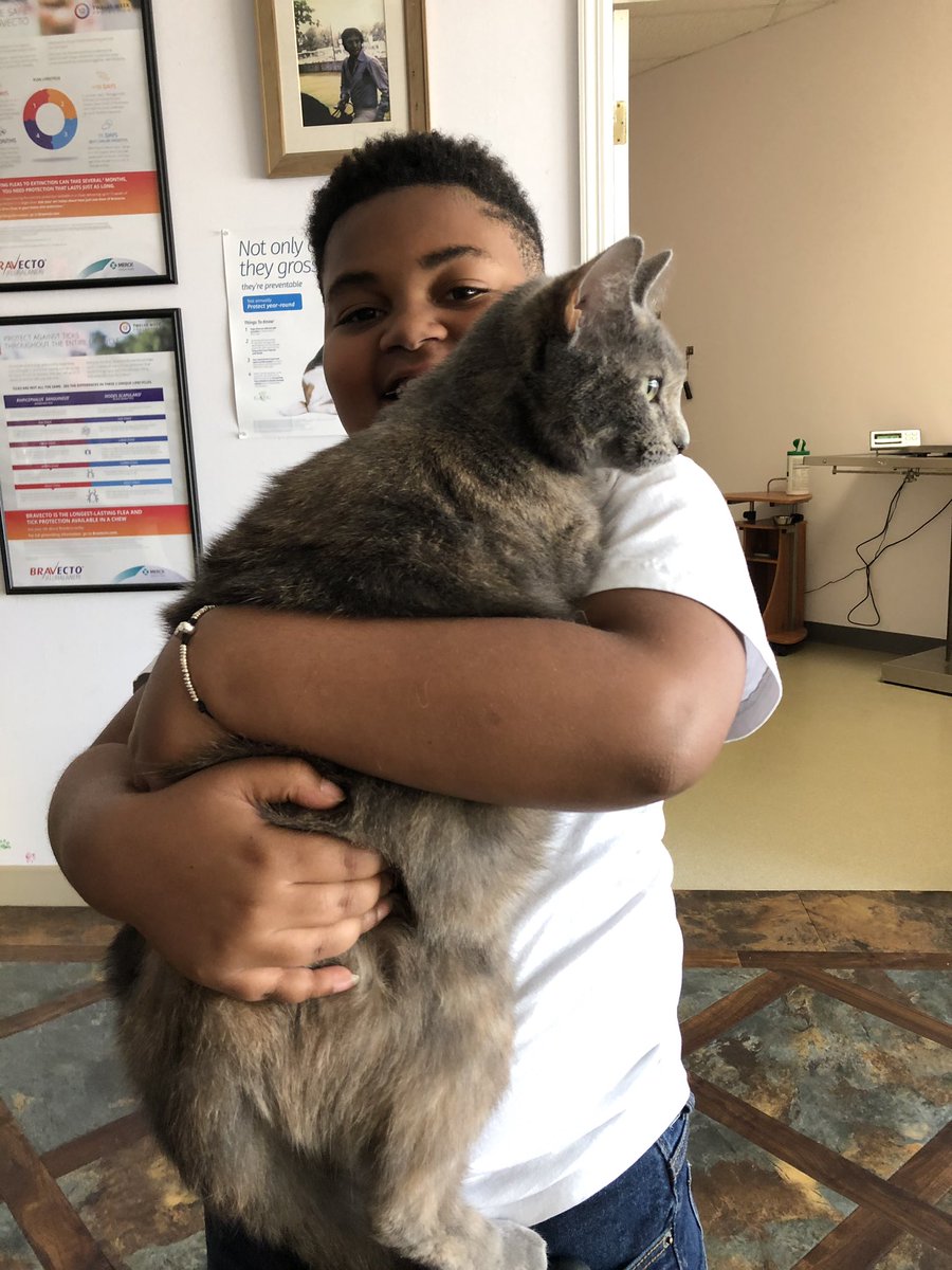 Shawntrala1's tweet photo. My son wanted a cat so.... Meet Dorothy 😺 https://t.co/F3Oh9DUpYK