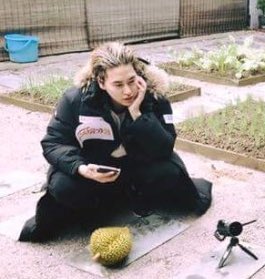 NJTTW's tweet photo. to win a morning mission, would you rather 

protect durian (rt) 
or 
protect crab (like) https://t.co/R5d5inOulC