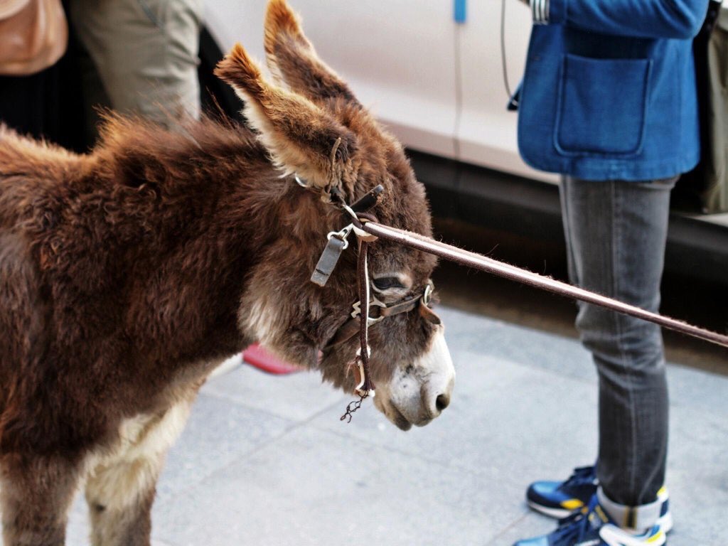 Here's some of his pictures: