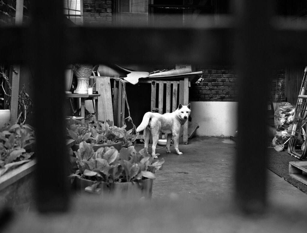 Here's some of his pictures: