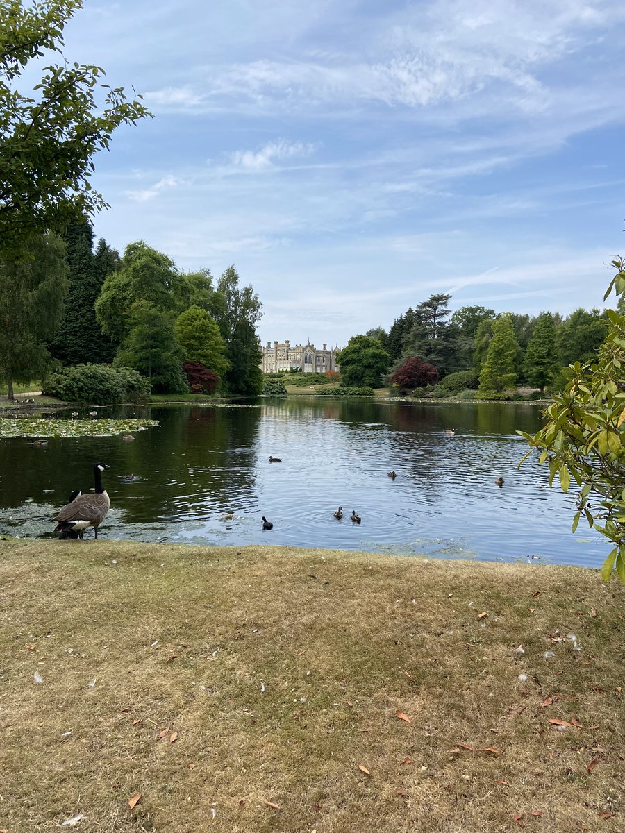 Nice walk around <a href="/SheffieldParkNt/">Sheffield Park and Garden, National Trust</a>👍🏻