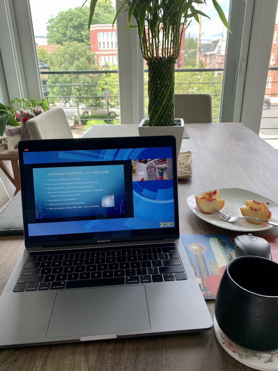 tiffchenMD's tweet photo. From my #EchoAtHome view to yours... can “virtually” see you all at #ASE2020! No registration lines, watered down ☕️, or dress code. 😉 https://t.co/2GVJFOYFlH