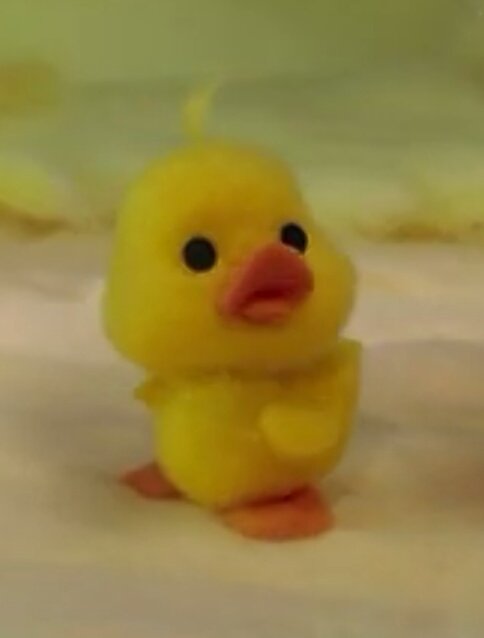 아유 ﾁｭﾆﾍﾟﾝ うさぎのモフィ アヒルの赤ちゃん Txt Yeonjun 似すぎててメッッッッッッチャ可愛い T Co Kyhur3g09q Twitter