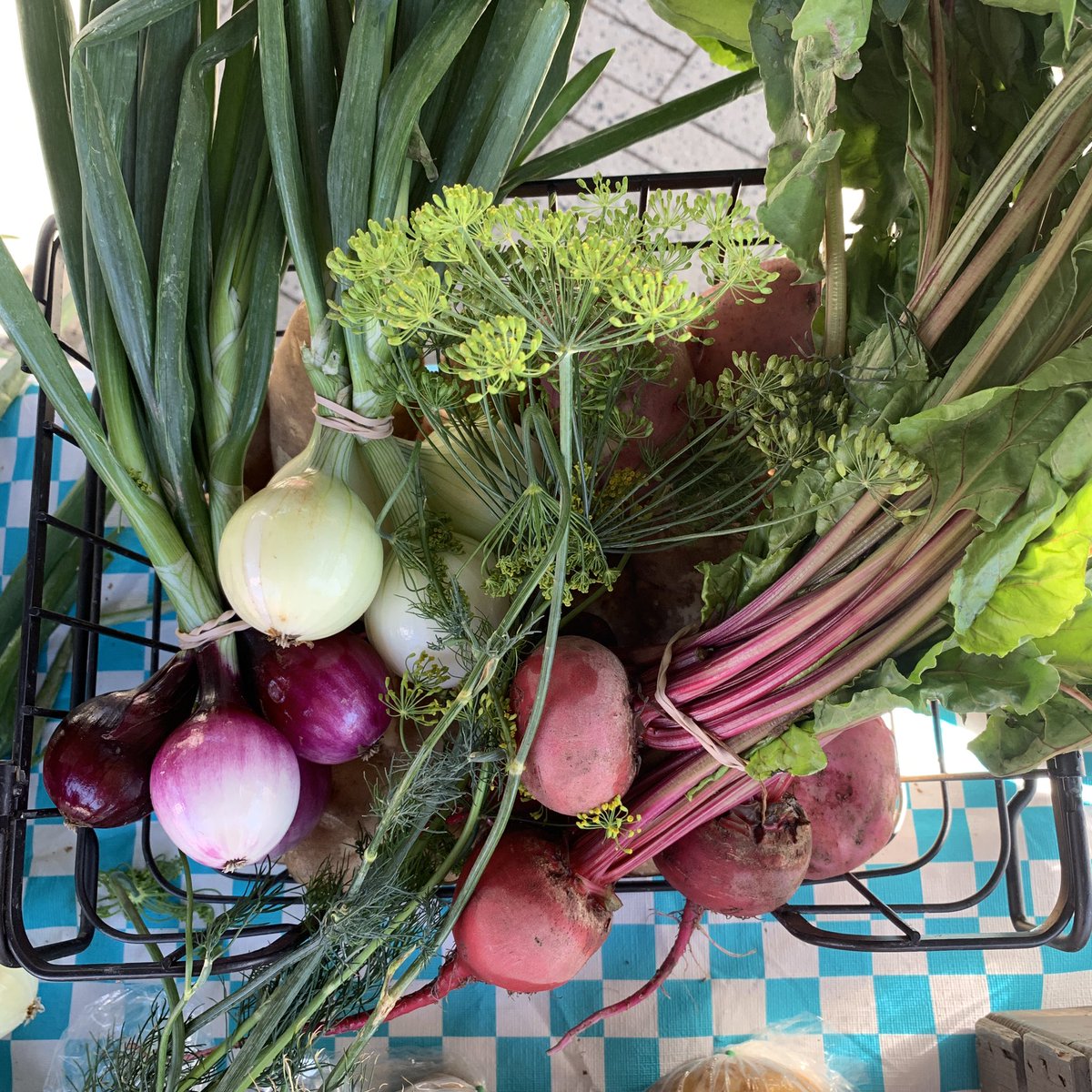 ByGoneFarm's tweet photo. It’s garden season! Veggies are coming in fast! Come see us at @MarketRegina today 9 am-1 pm. 👩🏼‍🌾🧅🥔 https://t.co/pz72uWMfqc