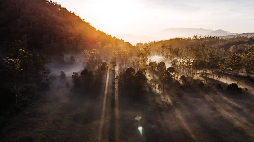 11. Ranca upasIni tempatnya enak banget buat nge camp, disana kalian bakalan disuguhin pemandangan yang bener bener bikin mata tercengang, plish apalagi malem tu bintang-bintang keliatan semua WOIII. Kalian wajib ke ranca upas okay! Bisa foto ma rusa juga. Tapi inget pk jaket.