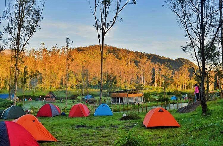 11. Ranca upasIni tempatnya enak banget buat nge camp, disana kalian bakalan disuguhin pemandangan yang bener bener bikin mata tercengang, plish apalagi malem tu bintang-bintang keliatan semua WOIII. Kalian wajib ke ranca upas okay! Bisa foto ma rusa juga. Tapi inget pk jaket.