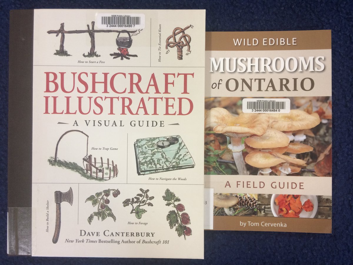 NemiLibrary's tweet image. New Books available now.  See something you like?  Give us a call 368-2444 or place a hold online olsn.ent.sirsidynix.net/client/en_US/n…