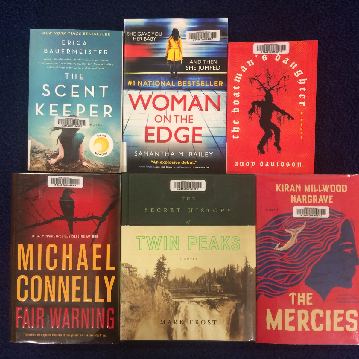 NemiLibrary's tweet image. New Books available now.  See something you like?  Give us a call 368-2444 or place a hold online olsn.ent.sirsidynix.net/client/en_US/n…