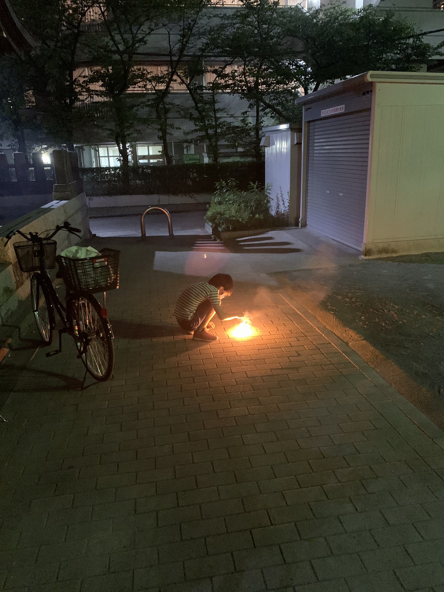 マモリとgo Mamorigo Twitter