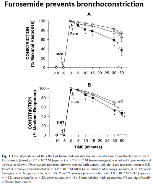 12/But even more incredibly, furosemide appears to be a bronchodilator.When rat airways were pre-constricted w/ methacholine or serotonin, treatment w/ furosemide significantly decreased bronchoconstriction.  https://pubmed.ncbi.nlm.nih.gov/9087943/ 