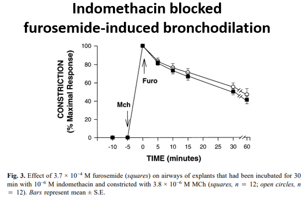 13/Incubation with indomethacin blocked furosemide's effect on airway tone.Amazingly, like venodilation, furosemide's apparent ability to bronchodilate seems to be mediated by prostaglandins.  https://pubmed.ncbi.nlm.nih.gov/9087943/ 