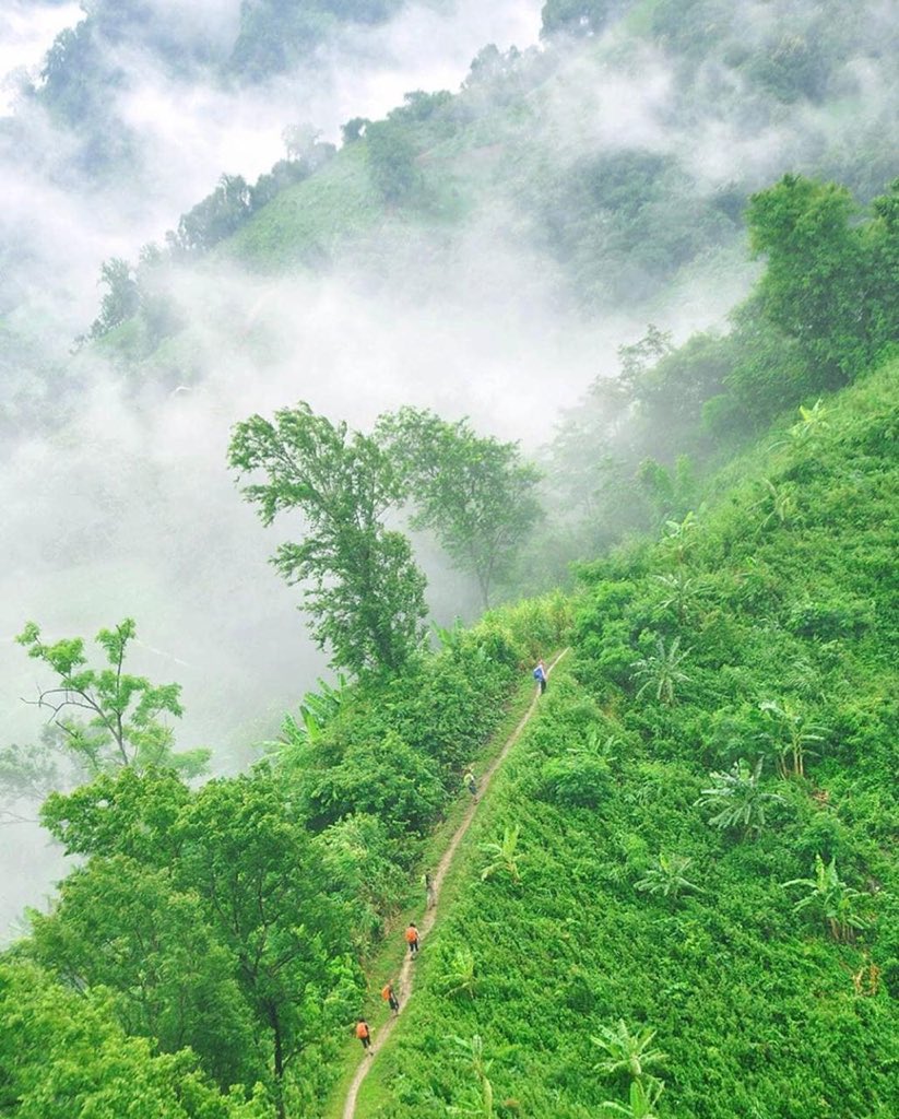 JourneyTobd's tweet photo. #green #hill #fog #nature of #beauty at #bangladsh 🇧🇩 https://t.co/KJRjTyiWAZ