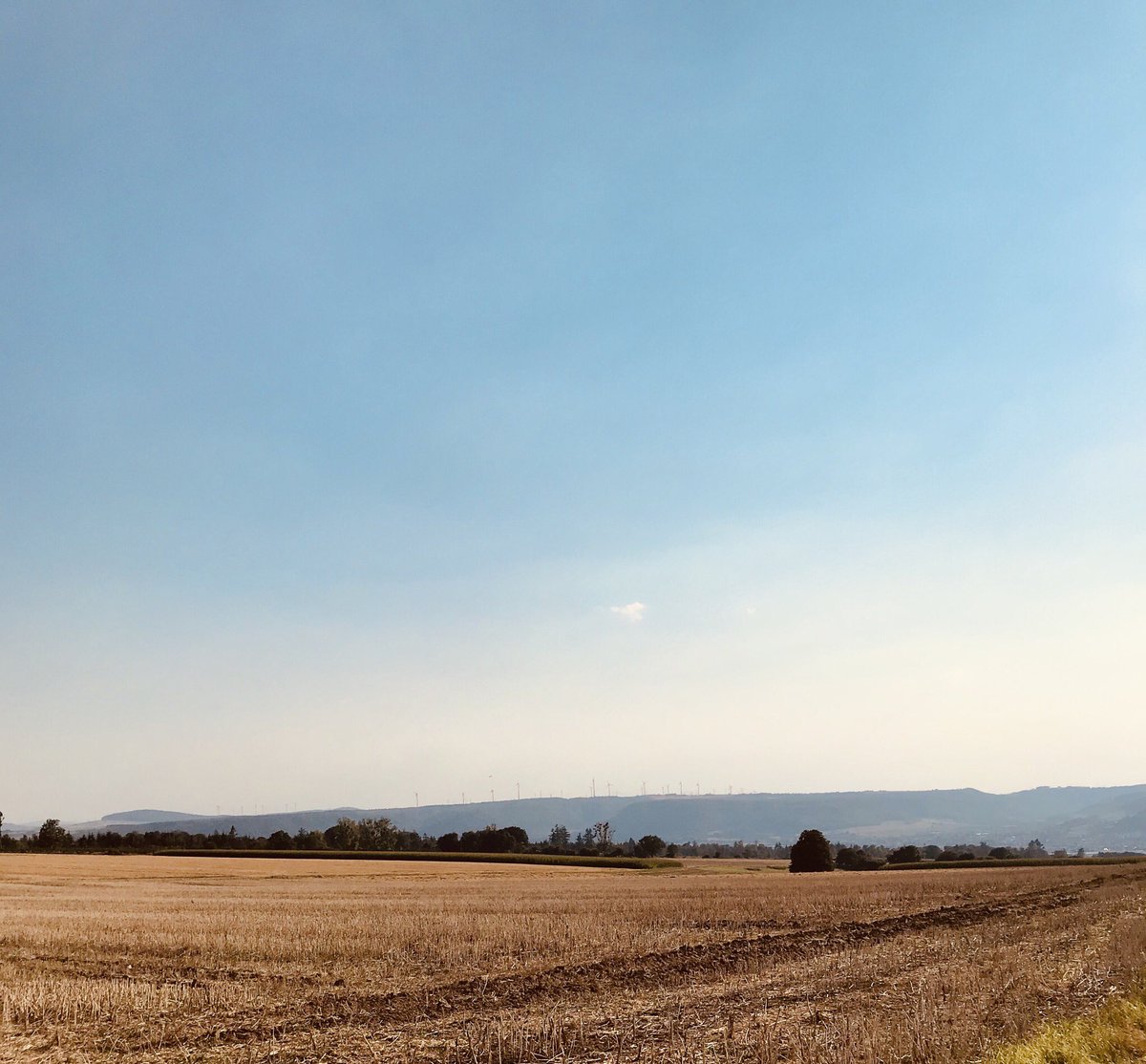 Ich sag’s, wie es ist: #Ostwestfalen, auch ganz nett hier