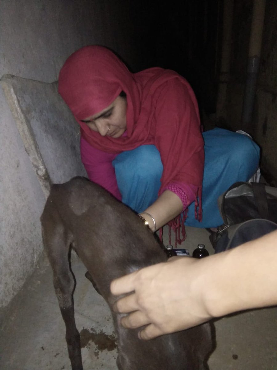 ख़ुशी के लिए काम करोगे तो ख़ुशी नहीं मिलेगी,
लेकिन ख़ुश होकर काम करोगे तो ख़ुशी और सफ़लता दोनों ही मिलेगी।
🙏🏼🌹 शुभरात्रि🌹🙏🏼 <a href="/VimlaMeena18/">Vimla Meena</a> <a href="/sunitabaitu/">Sunita Choudhary</a> @SumanCh95298843 @SanjanaChoudhri <a href="/VimlaMeena18/">Vimla Meena</a> <a href="/MamtaAdv/">Mamta bijarniya</a> <a href="/sumanJat_/">Suman Choudhary</a>