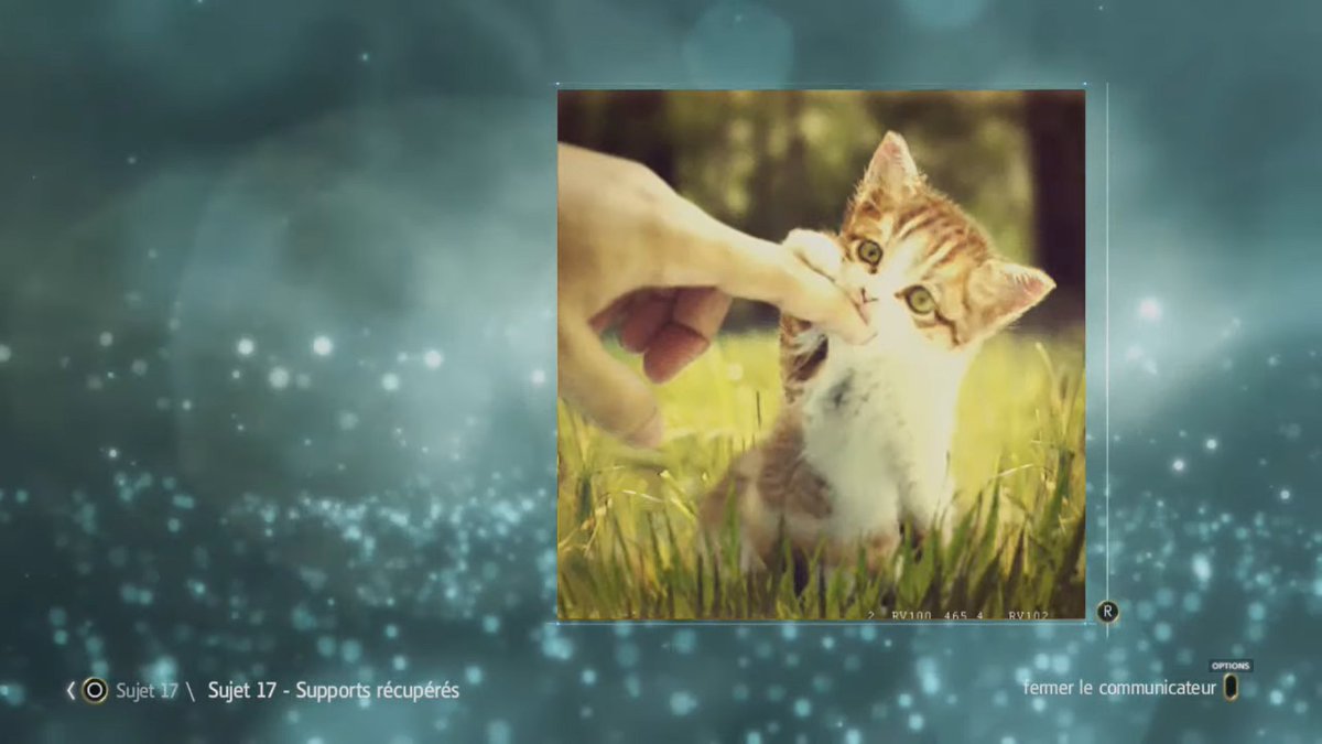 AC_TEMPLIER's tweet photo. À l'occasion de la #journeeinternationaleduchat voici une photo provenant du téléphone mobile de Desmond Miles dans le jeu #AssassinsCreed4BlackFLag. ;)
#AC #AssassinsCreed #Ubisoft #AC4BF #AC4 #AssassinsCreedIVBlackFlag #ACIVBF #ACIV #InternationalCatDay #chats #cats https://t.co/UDjXg6QFFd