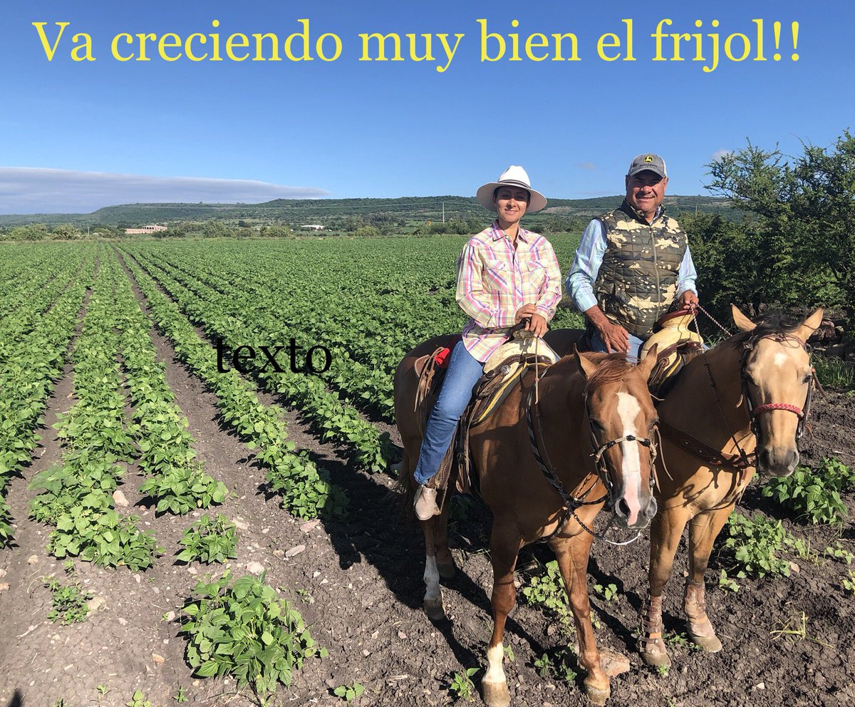Así va el temporal !!