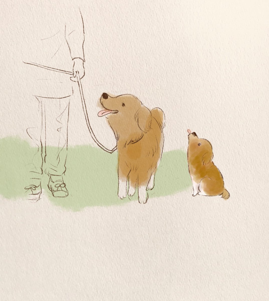 ある日の放課後いつものように空き地へ走ったぶたくんでしたが 子犬の姿はどこにも見 𝓐𝓻𝓽𝓻𝓲𝓮𝓵アトリエル Rie Nakatani 絵本のイラスト