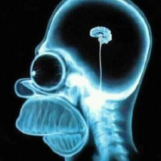 apple1958_head's tweet photo. el cerebro de las personas que piensan que Michael Jackson era pedófilo, feo y que se blanqueo la piel por racista: https://t.co/DrQBrC3XEC