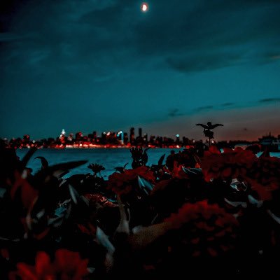 𝙖𝙧𝙞𝙚𝙨— 𝙙𝙤𝙚𝙨 𝙝𝙚 𝙠𝙣𝙤𝙬?