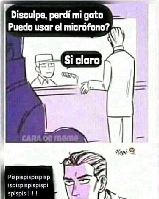 AyDeoj's tweet photo. #DiaInternacionalDelGato https://t.co/F1ZQ3IfysJ