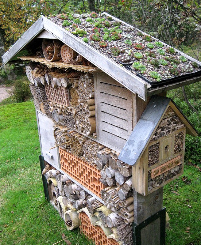 Insect Hilton ⭐⭐⭐⭐⭐ Let your imagination run wild. You can make a bug hotel using up lots of waste materials in the garden (cones, stems, bamboo sticks etc), then put a slanted roof on top to keep it dry. We 💚 this one! #livingroof #bughotel #insects