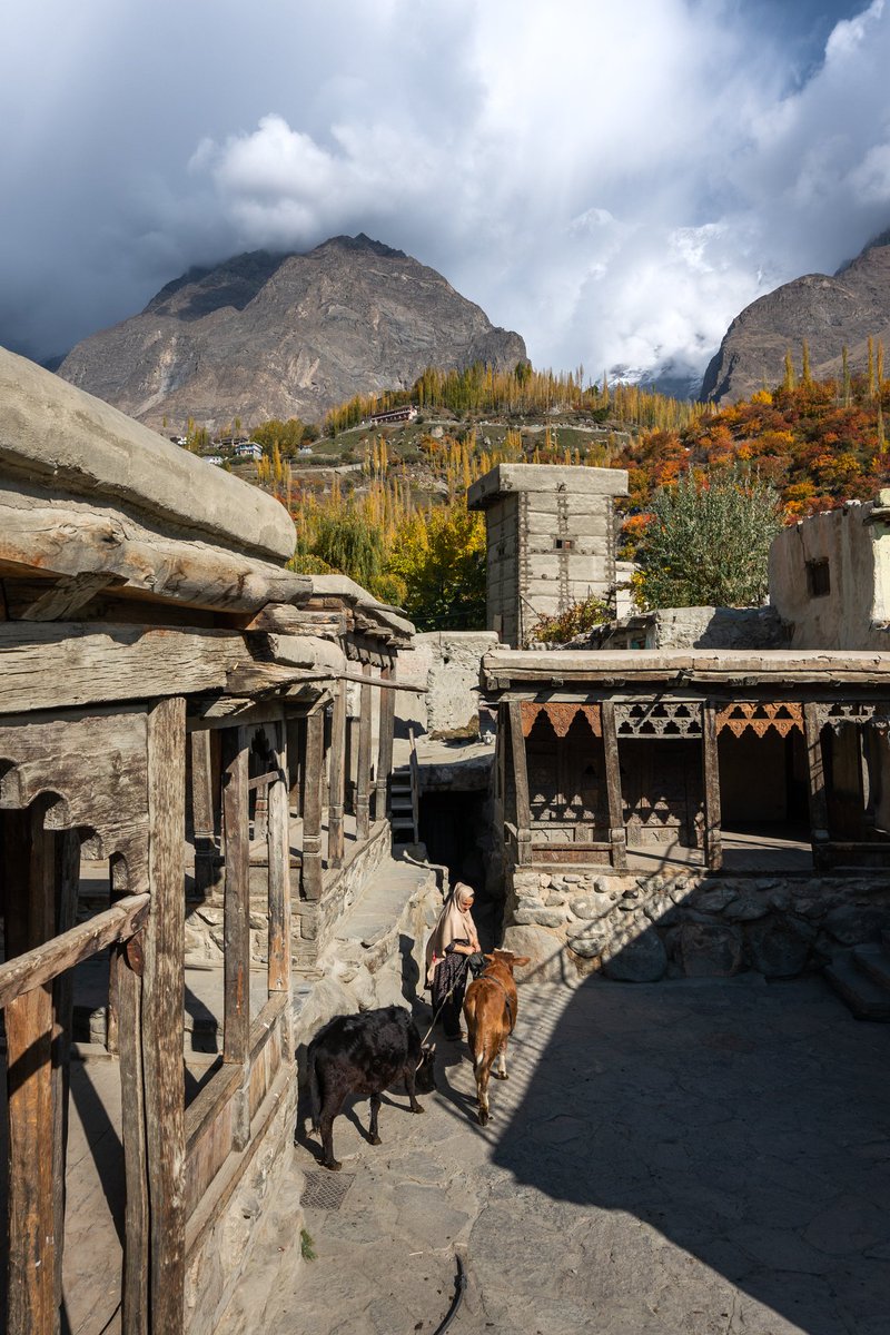 The Mad Hatters tweet media