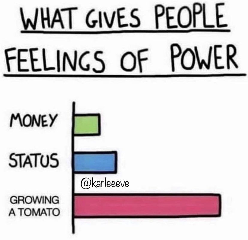 karleeeve's tweet photo. #SaturdayVibes #plants #GoodVibesOnly https://t.co/yhJOvBeGIX