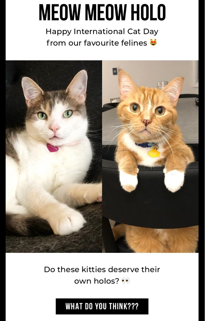 TheTinyTuna's tweet photo. Dear @holotaco & @nailogical,
Ahem 😔
YEEEEEESSSSSS!!!!!!! THEY ~NEED~ THEIR OWN HOLO!!!
😻😻😻😻😻😻😻
Your's truly.
#holotaco #menchie #zyler #holobabies #simplynailogical https://t.co/dI7GlgwPuO