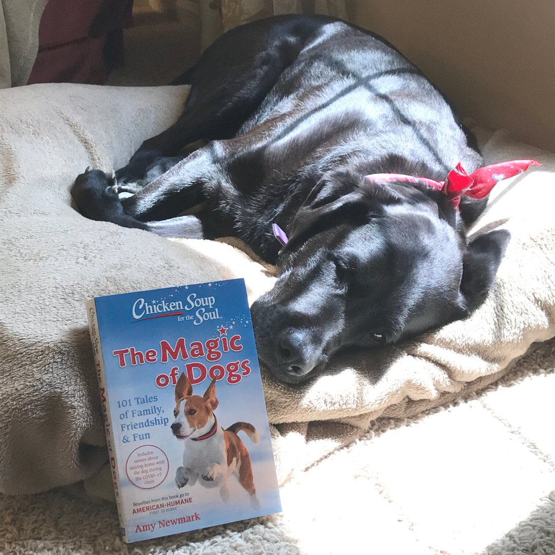 ChickenSoupSoul's tweet photo. The most peaceful afternoon looks a lot like this. https://t.co/myB2ntHTsW  #CSSTheMagicofDogs

📷: Contributing Writer, @JulieASellers https://t.co/fofh30gWN9