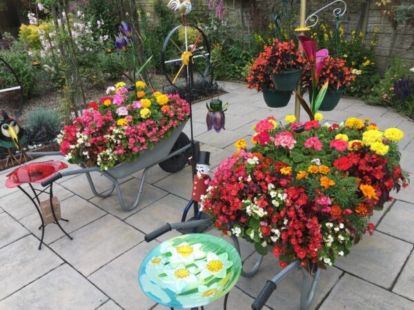 How beautiful is Bob Sumner's garden? 💚 We love the wheelbarrow planters. 
See more of Bob's garden and hundreds of other stunning photos sent in by people all over #Knowsley for our virtual #KnowsleyFlowerShow at orlo.uk/HS4YT