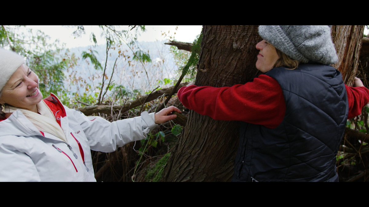 EvrgrnC's tweet photo. Yes, we here in the #PNW love our trees. "Naturally Ours" explores BC's Salt Spring Island to inspire a connection to and love of the natural spaces around us.  #organic #naturalbeauty #naturelovers #saltspringisland #evrgrnchannel Watch now: https://t.co/XO8c7Tga09 https://t.co/41rIMc83qx