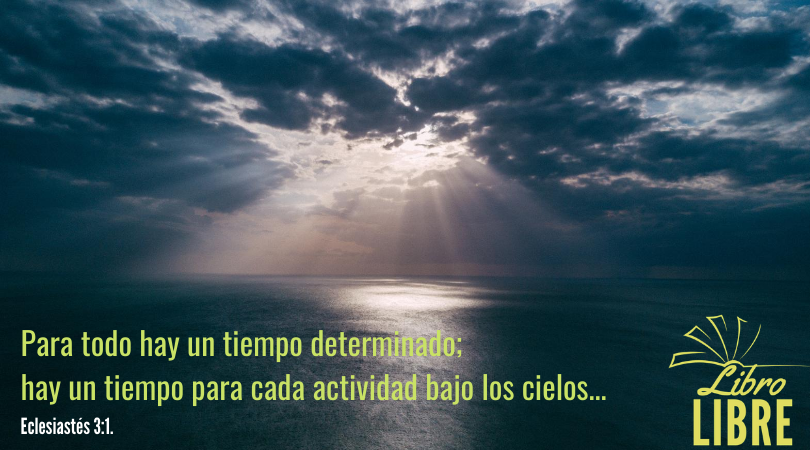 LibroLibre3's tweet photo. #LibroLibre https://t.co/bvBh9axJ3L