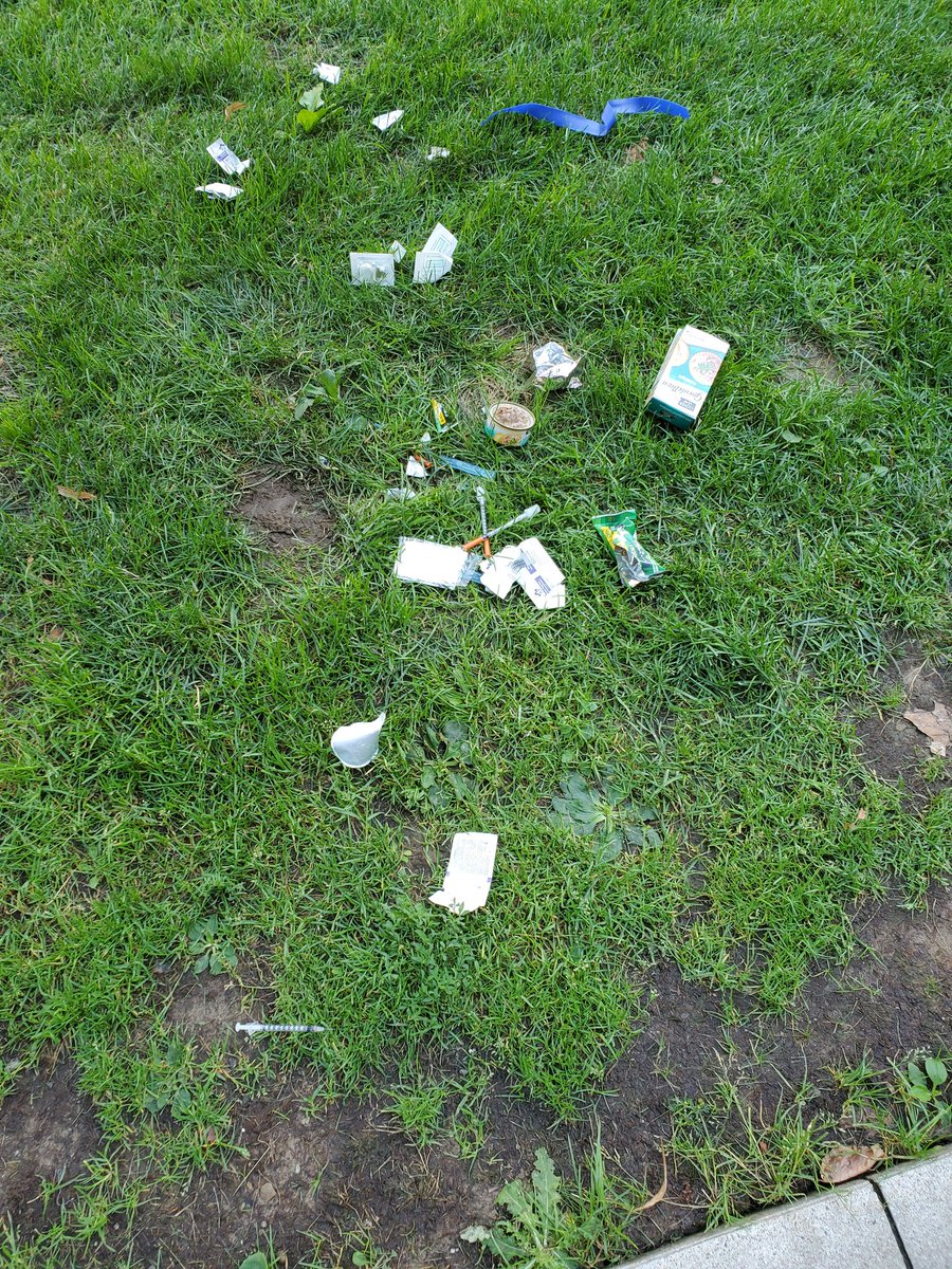 Zippysaid's tweet photo. @311Toronto good afternoon, I noticed open needles in the grass in front of 119 Isabella. It is the 4th patch of grass east of  the front door. The closest parking meter is 3718. https://t.co/HvFcmNGfsH