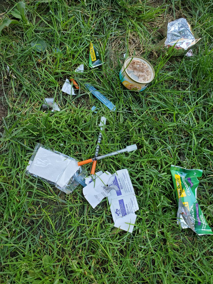 Zippysaid's tweet photo. @311Toronto good afternoon, I noticed open needles in the grass in front of 119 Isabella. It is the 4th patch of grass east of  the front door. The closest parking meter is 3718. https://t.co/HvFcmNGfsH