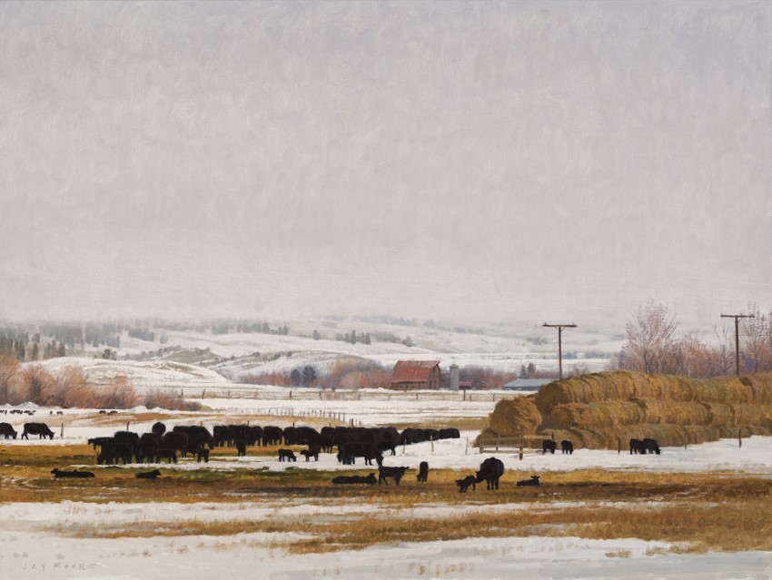 Saks_Galleries's tweet photo. #picoftheday ~ Jay Moore "Calving Season" 30" x 40" Oil #jaymoore #cows #landscape #painting #art https://t.co/fhcvynqKRb