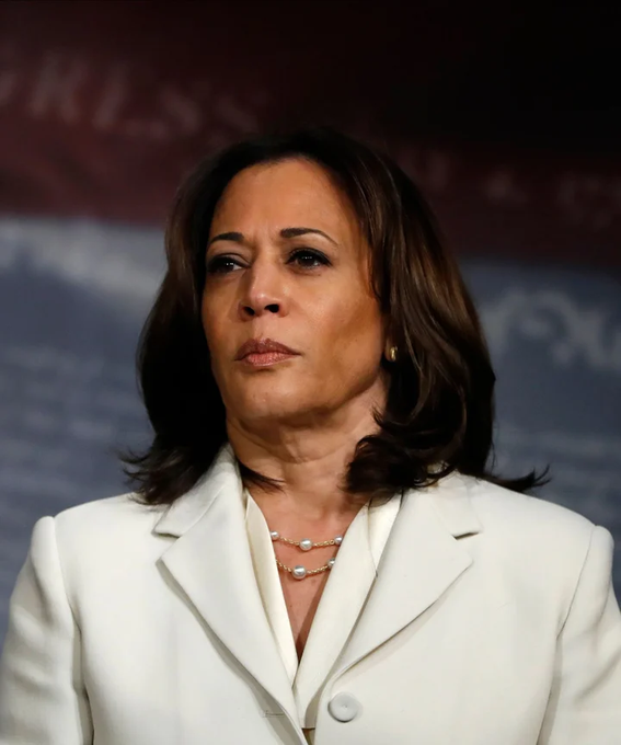 Kamala Harris as handcuffs, a thread:
