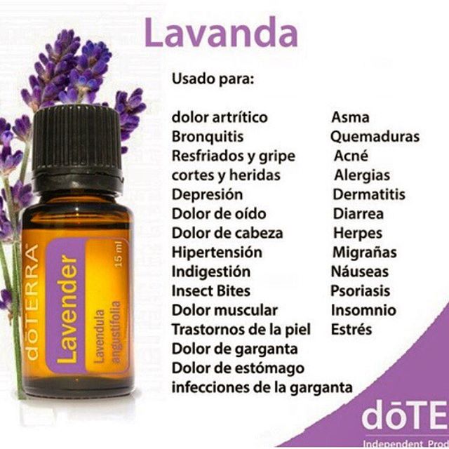 centroevoca's tweet photo. @centroevoca Cel. 3319905045 https://t.co/4Ac7EePtRs