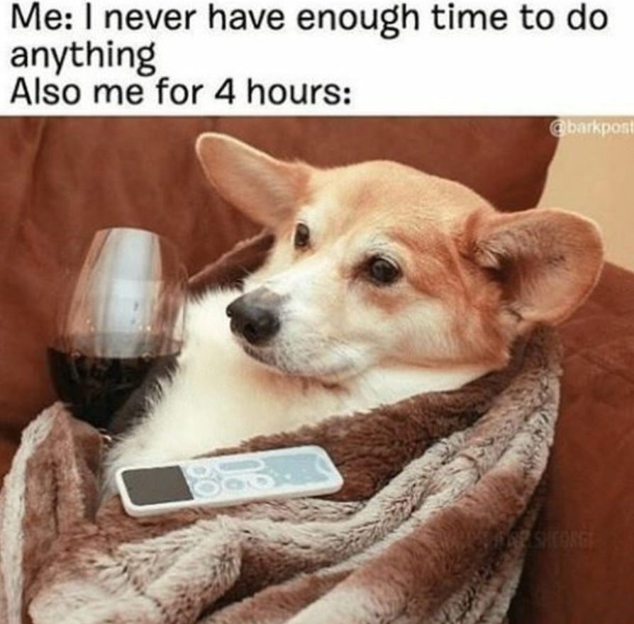 Who can relate? 😂

#ThriveSavings #wine #netflix #money #moneymeme #brokememe #quarantine #covid #bingewatch #broke #shopping #funny #lol #funnymeme #student #studentproblems #stayathome #workfromhome #wfh #graduation #funny #savemoney #debt #finance #moneytips #relatable
