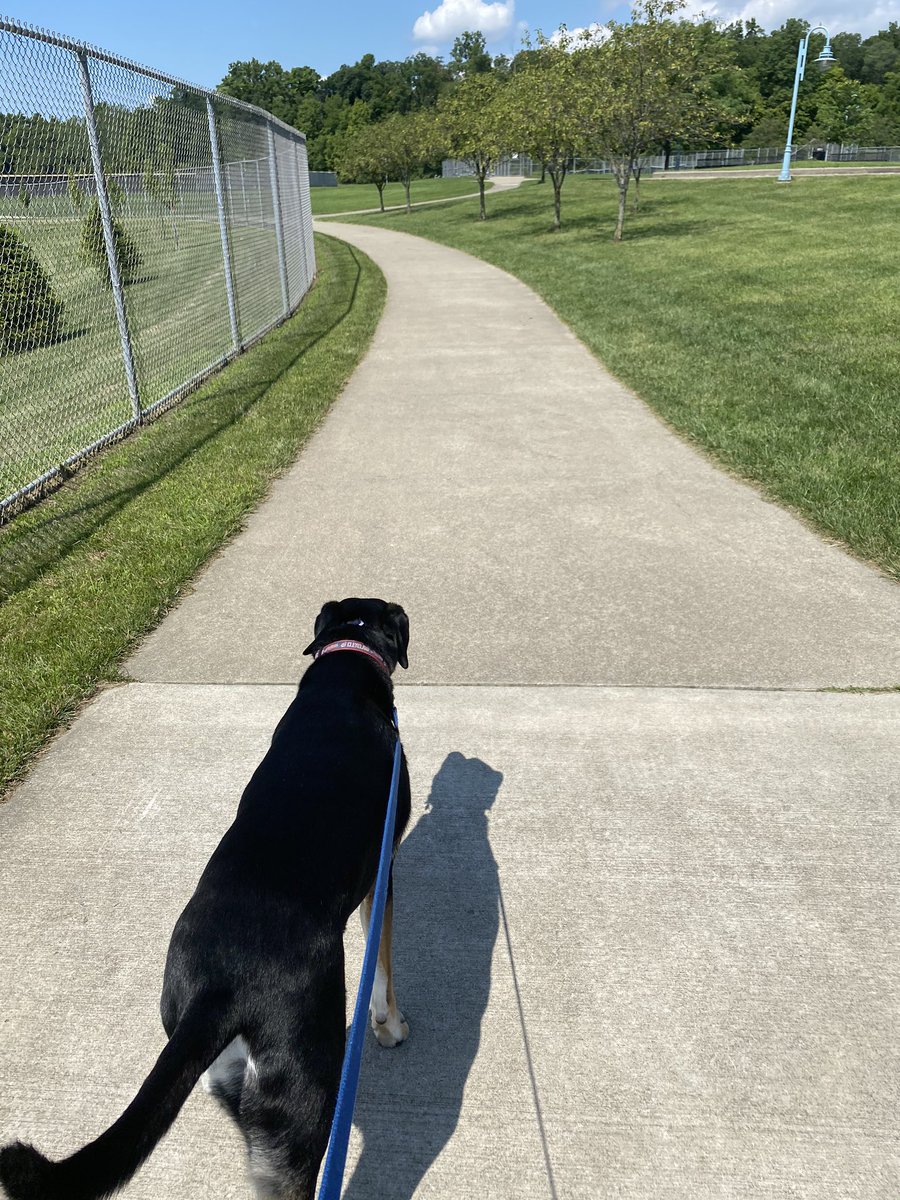 DY_Briggs's tweet photo. Walked today for the @aawalknation Freedom Walk. #AAFreedomWalk #AAWellness #BlackMensHealthWeek #Local4You https://t.co/nboWLQDPMY
